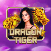 Dragon Tiger on okbet cc login